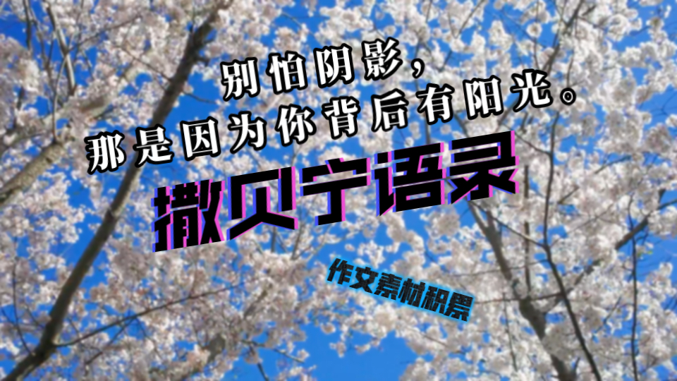 【撒贝宁语录】青春 人生 理想 【作文素材积累】
