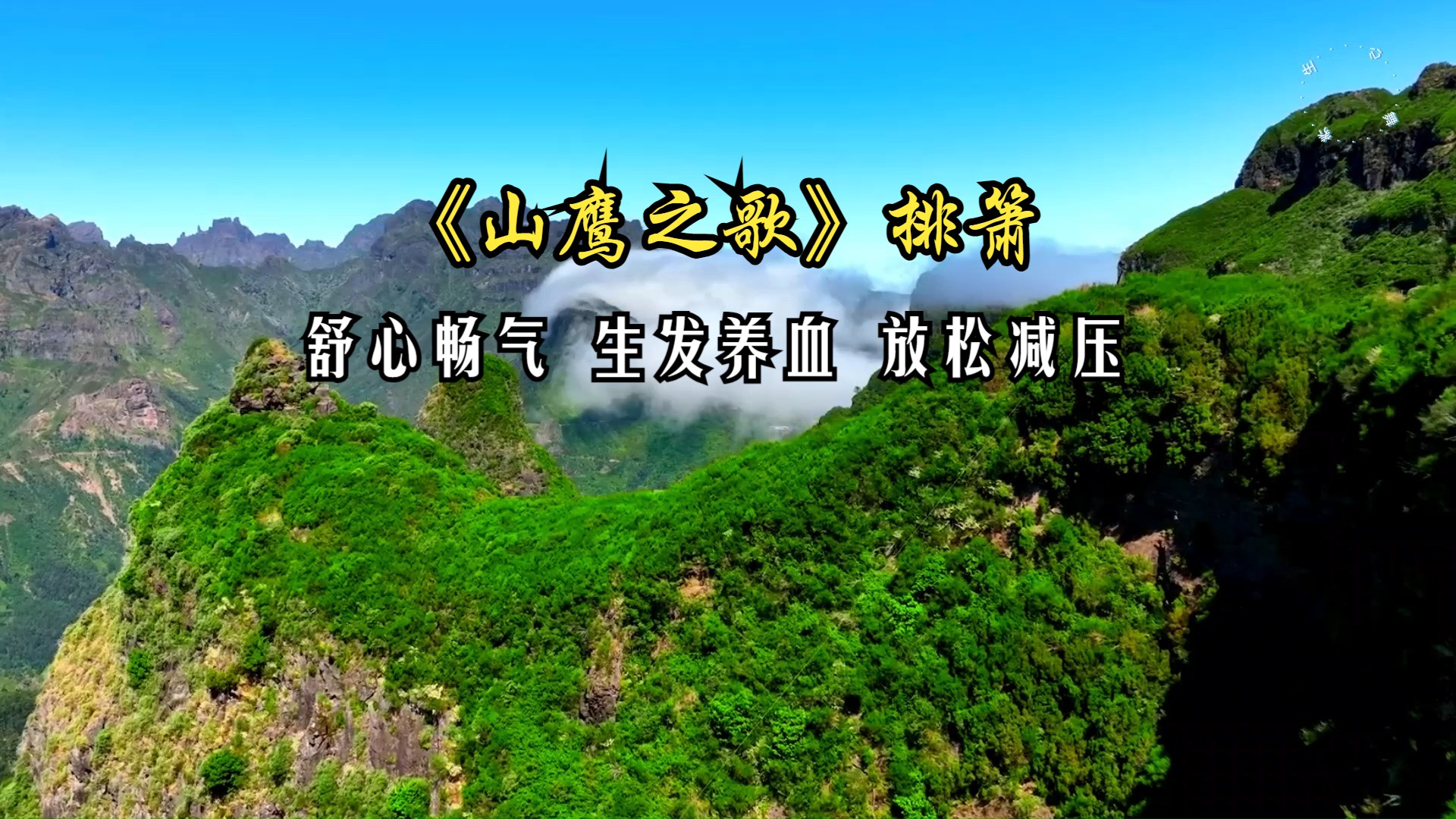 角音入肝的音乐 舒心畅气 生发养血 放松减压 改善睡眠 胆小多疑/情绪低落/失眠多梦可多听用《山鹰之歌》排箫哔哩哔哩bilibili