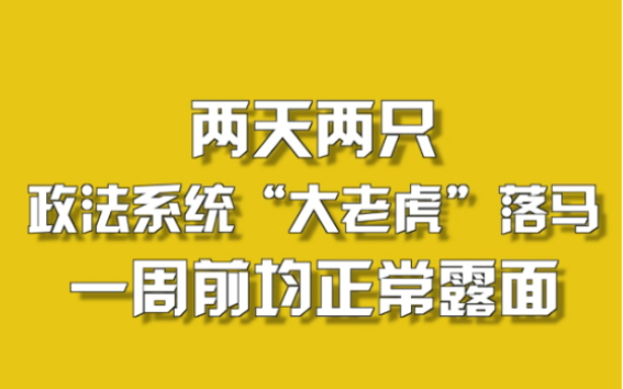 两天两只政法系统“大老虎”落马,一周前均正常露面哔哩哔哩bilibili