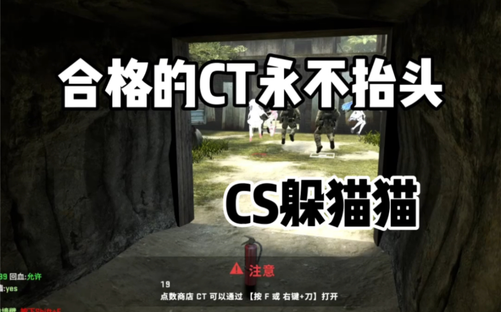 不变的真理CSGO