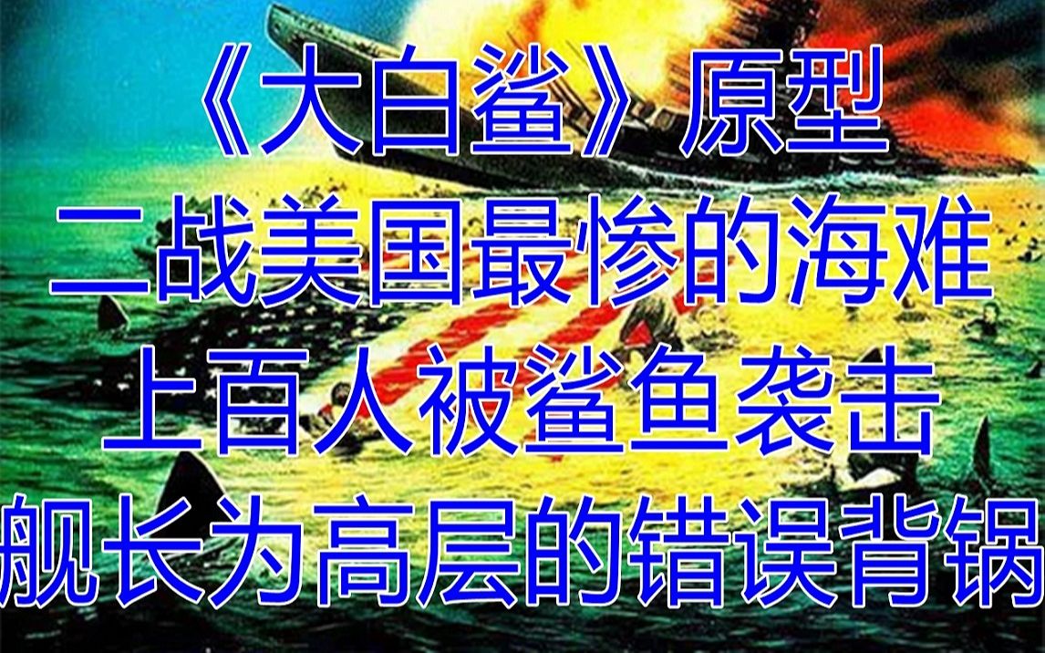 [图]史上最多鲨鱼袭击人类事件