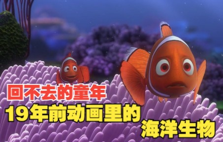 [图]《海底总动员》动画原型：18种真实的海洋生物