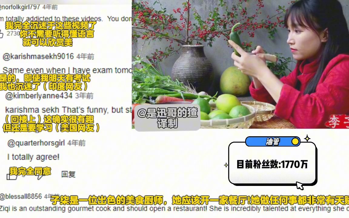 外国网友看李子柒做傣味手抓饭评论:你已经赢得了我的赞