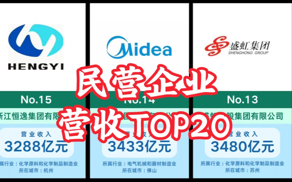 【最新】中国民营企业营收TOP20,江浙京杀疯了!哔哩哔哩bilibili