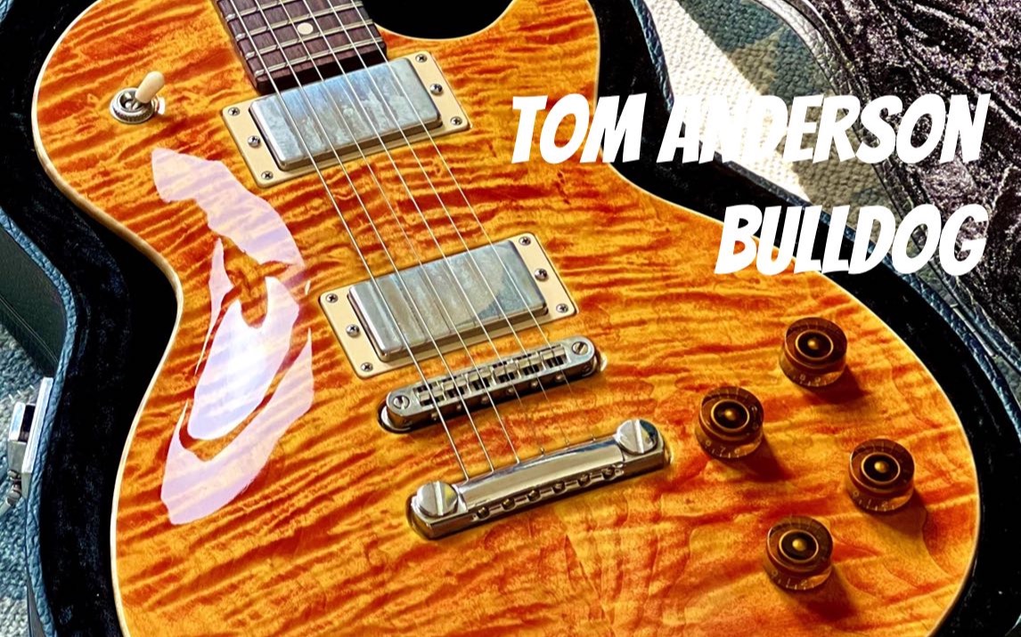 Tom Anderson Bulldog 外观品鉴哔哩哔哩bilibili