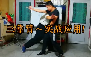 Download Video: 八极拳【三靠臂】在实战中的应用!