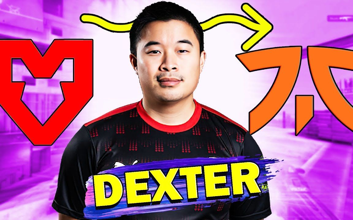 Fnatic新选手DEXTER 𐟔婫˜光集锦游戏集锦