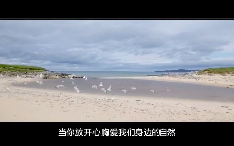 [图]经典轻音乐《Colors of the Wind》