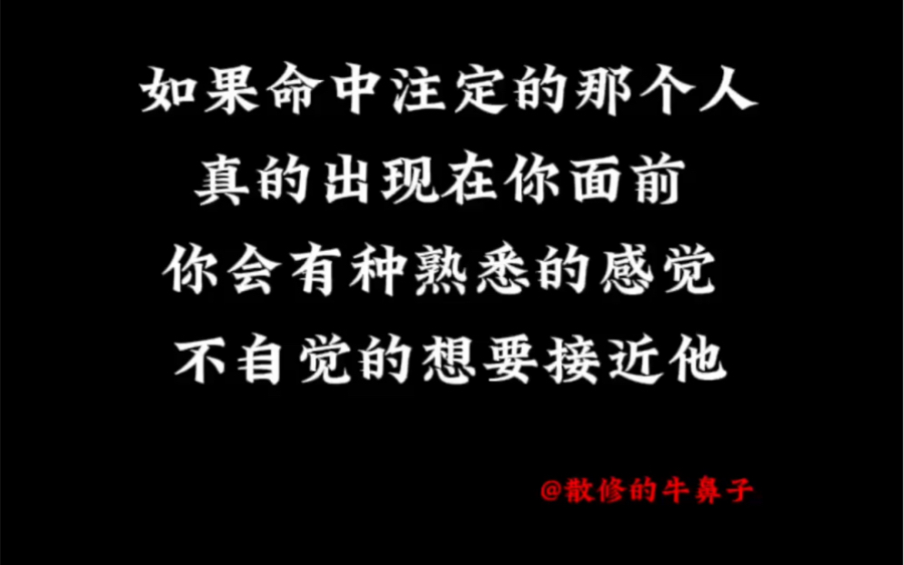 命中注定的那个人 初次相遇会有一种熟悉感哔哩哔哩bilibili