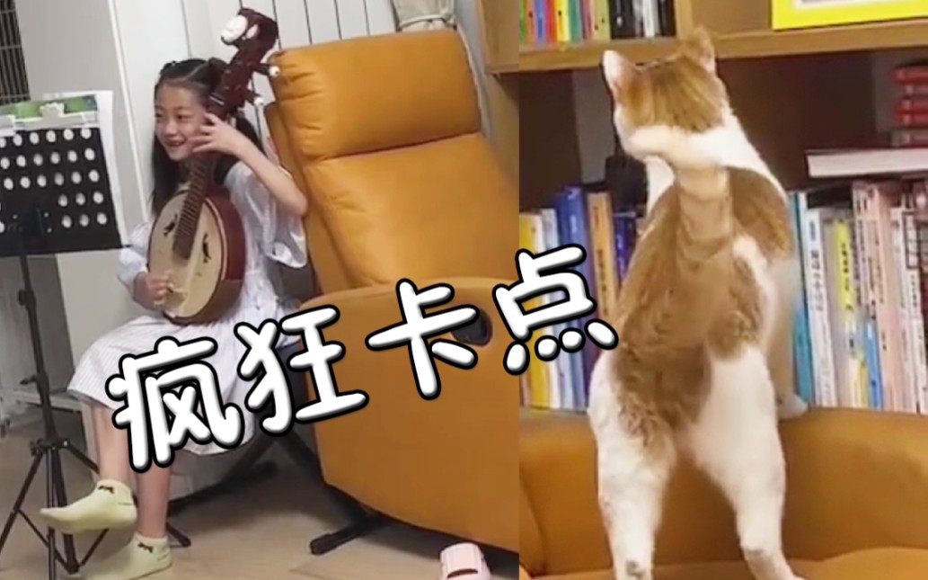 小橘猫这卡点离了大谱,擦边舞好评!!哔哩哔哩bilibili