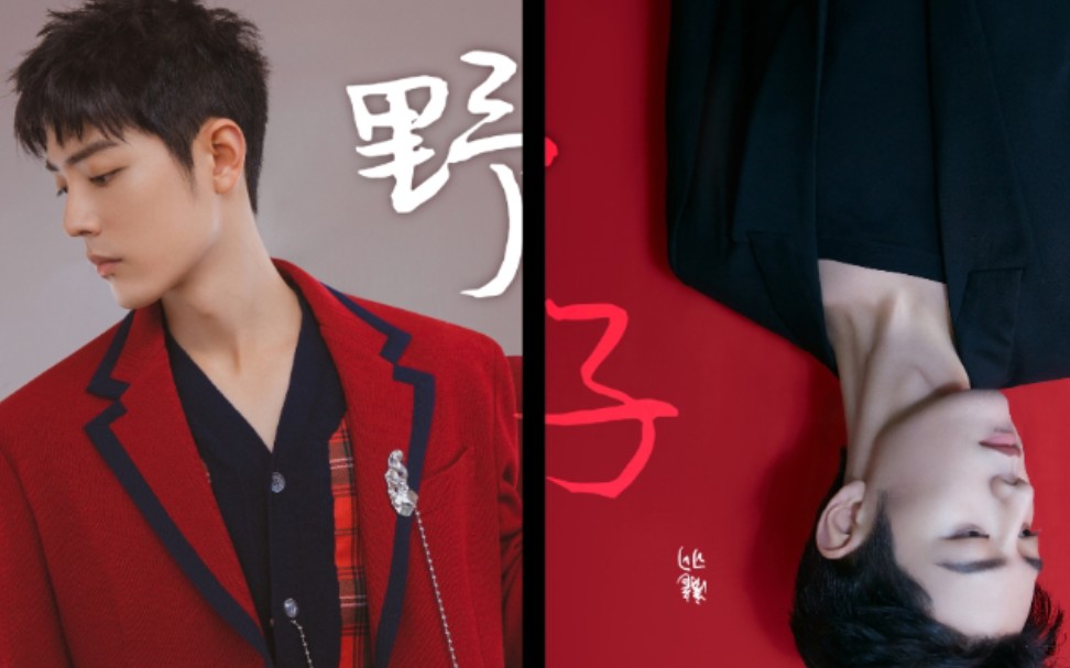 肖战野子重剪混剪版