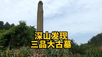 Скачать видео: 大山深处，发现三品大墓，主人是谁呢？