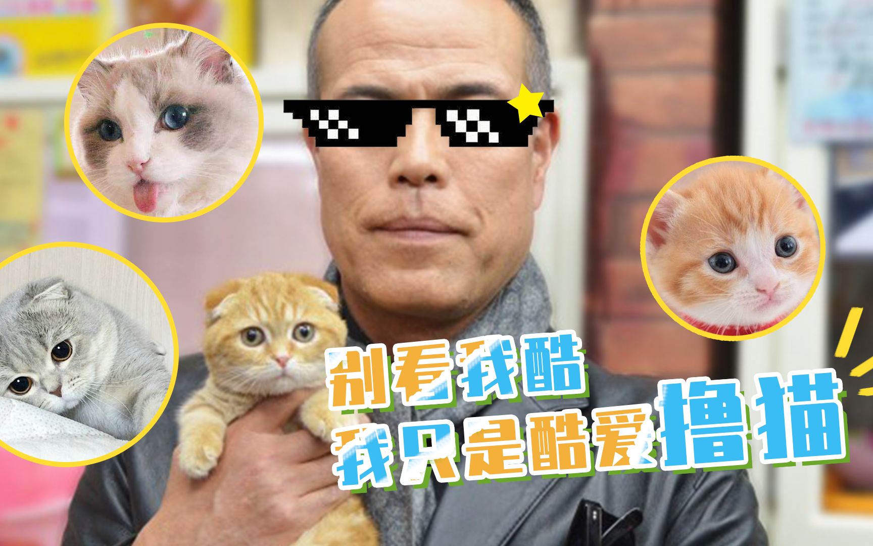 [图]《猫和凶相大叔》不养猫的看不懂，这是什么神仙宠物情