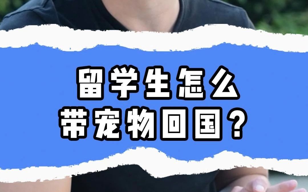 留学生怎么带宠物回国?哔哩哔哩bilibili