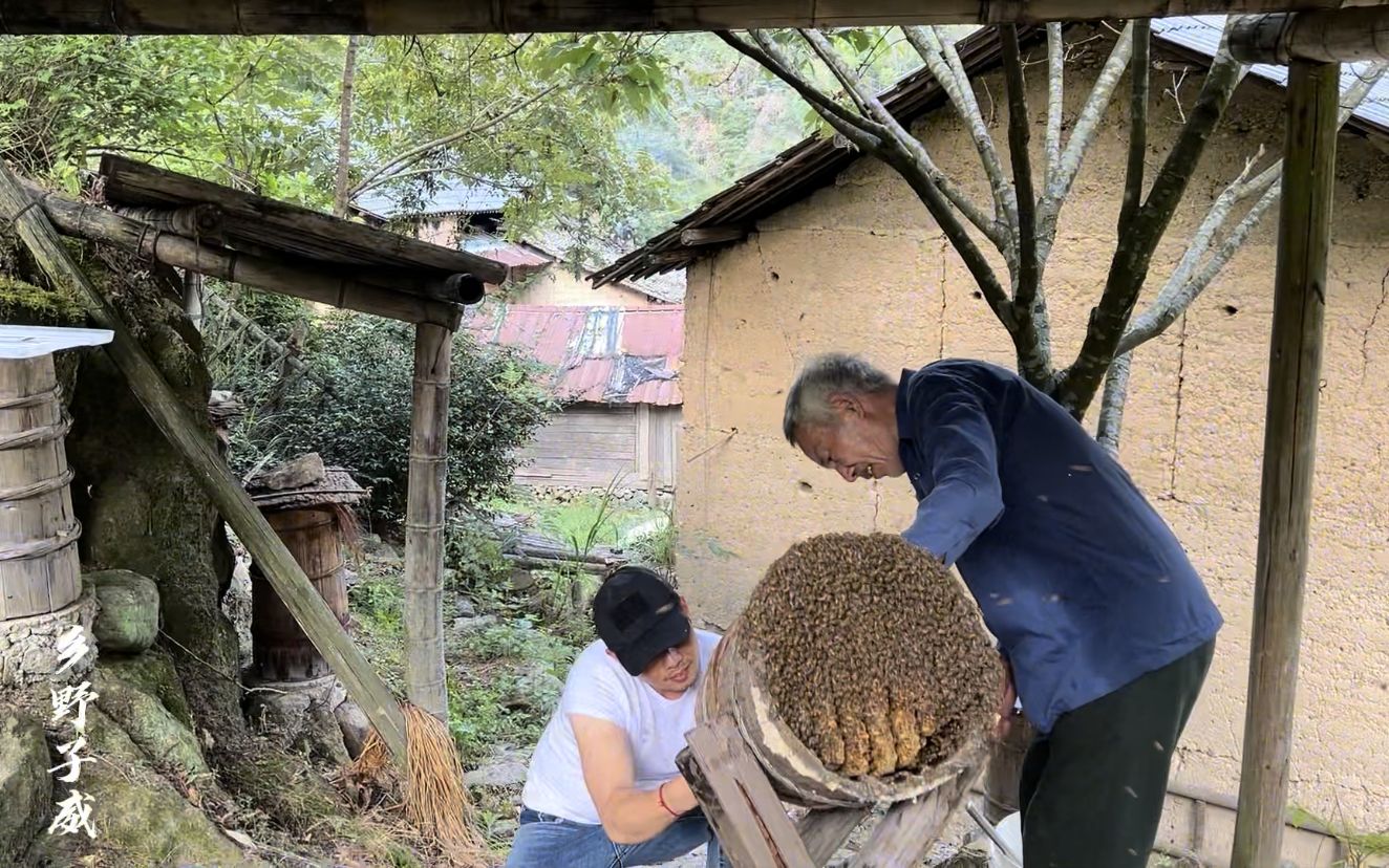 [图]山里大爷蜂蜜难销，子威走五里山路取蜜带走 ，品质相当不错