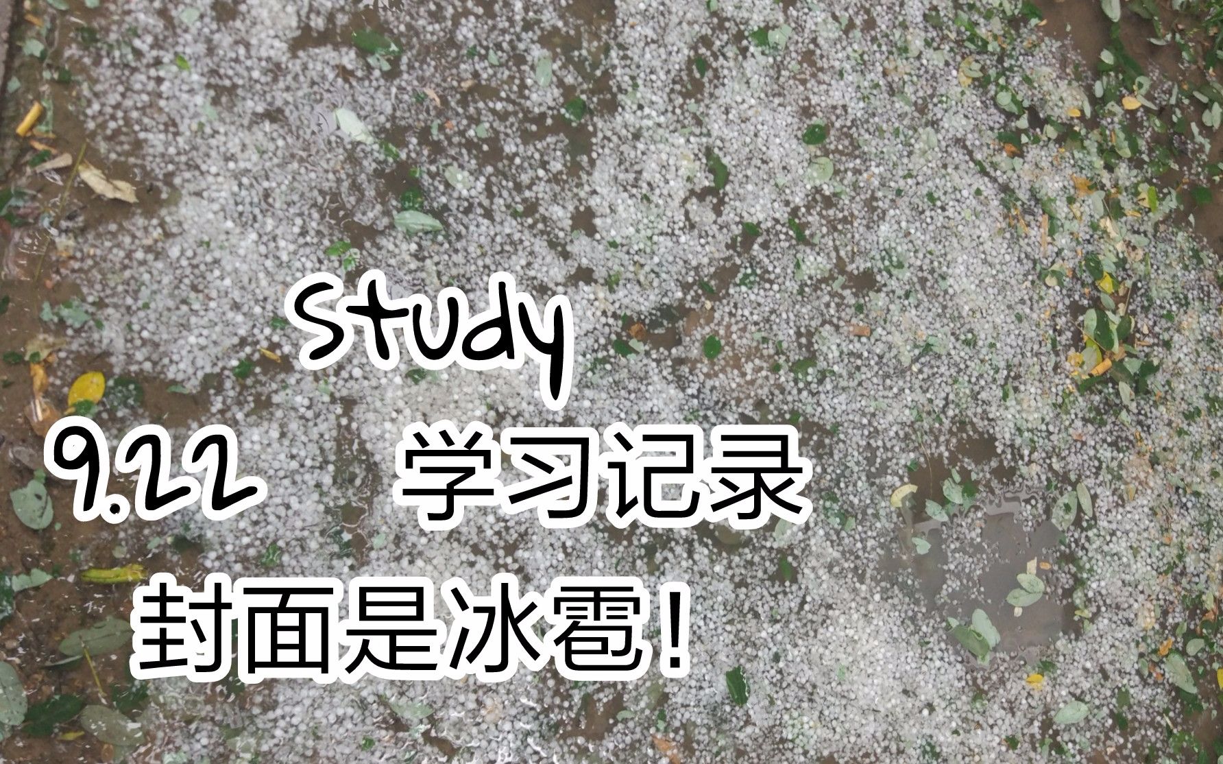 【杉木Study】9.22 又是美好的一天(每天)!哔哩哔哩bilibili