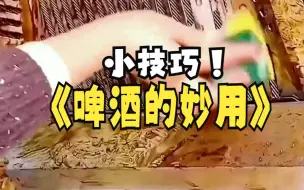 Download Video: 啤酒的妙用，让生活更方便！