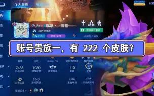 Download Video: 账号贵族一有222个皮肤？