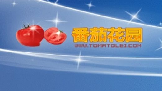 开箱番茄花园windowsxp哔哩哔哩bilibili