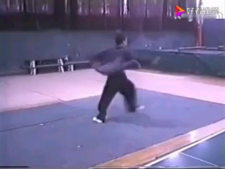 [图]天津八极高手演练青龙拳