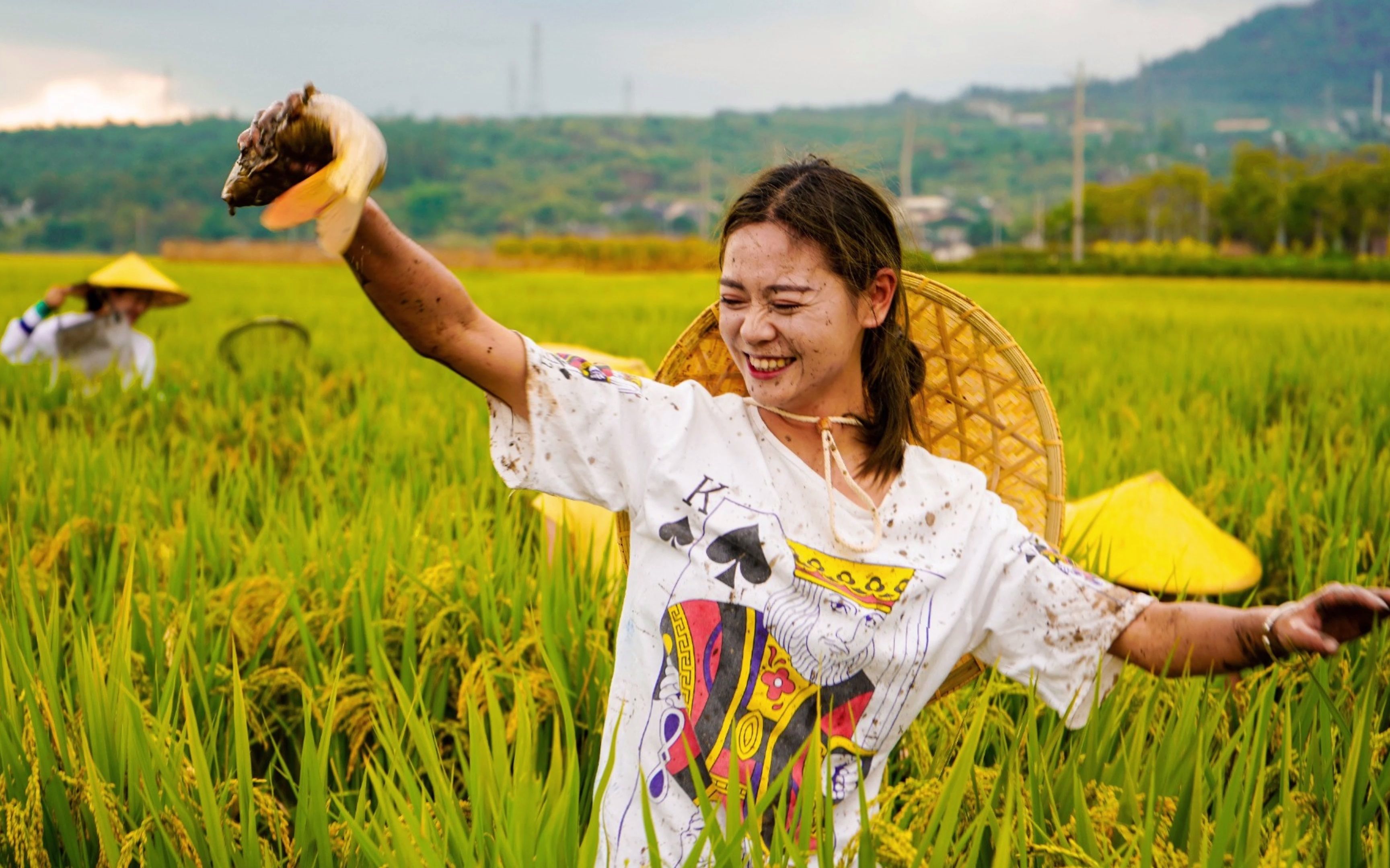 腾冲稻花鱼丰收季