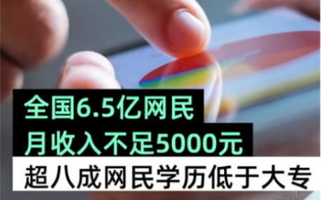 全国6.5亿网民月收入不足5000元,超过八成网民学历低于大专哔哩哔哩bilibili