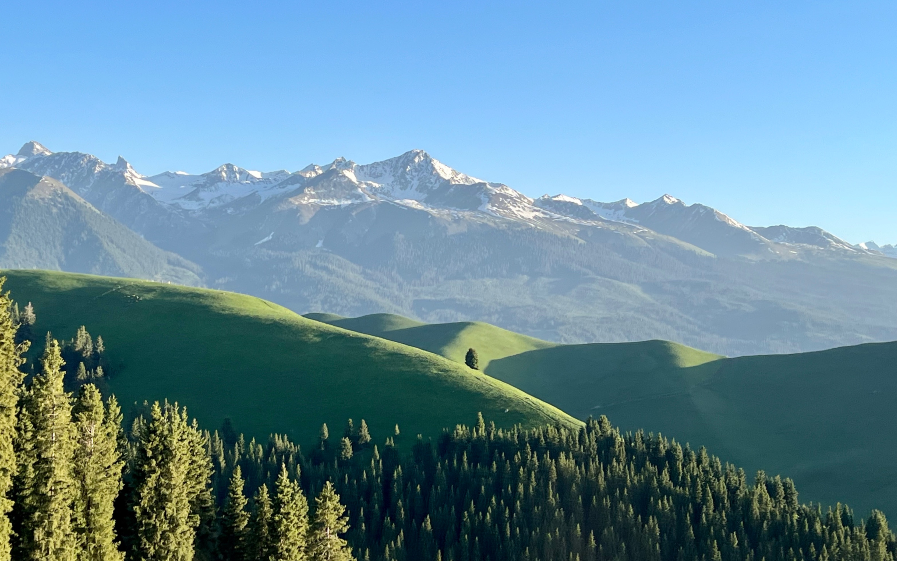 【琼库什台】离开第一秒就开始想念的大草原