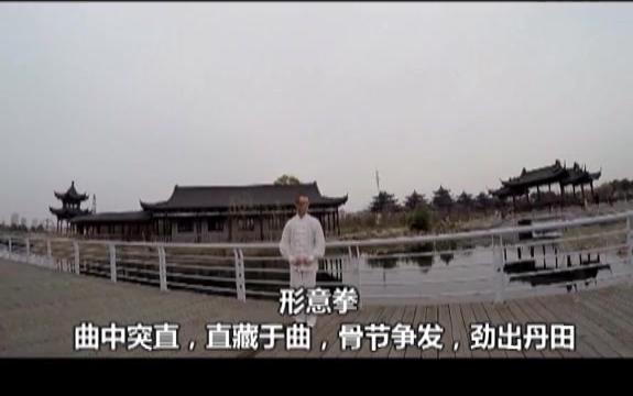 [图]【搬运】史文灼师傅演武视频（2015版）