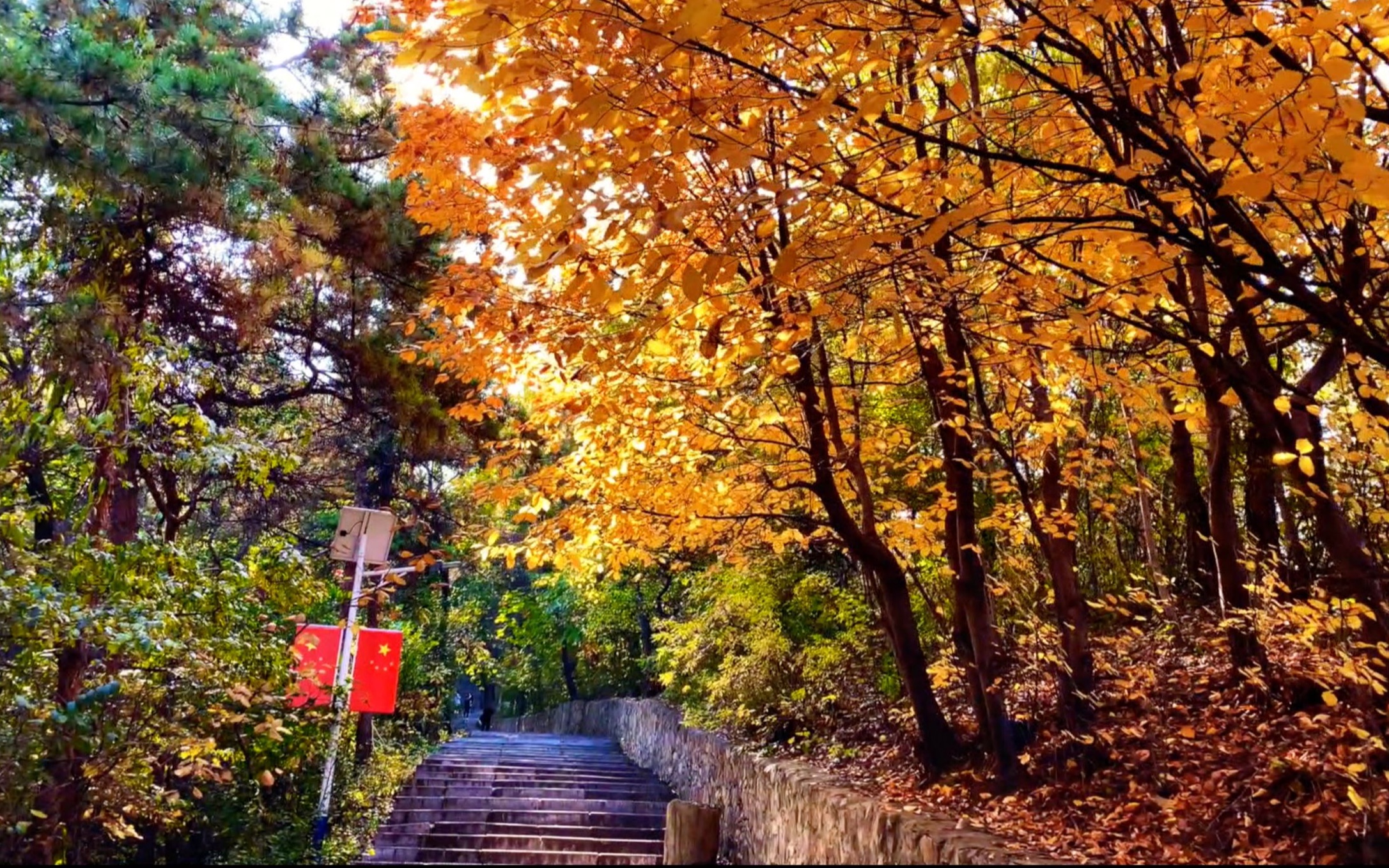 本溪·平顶山森林公园