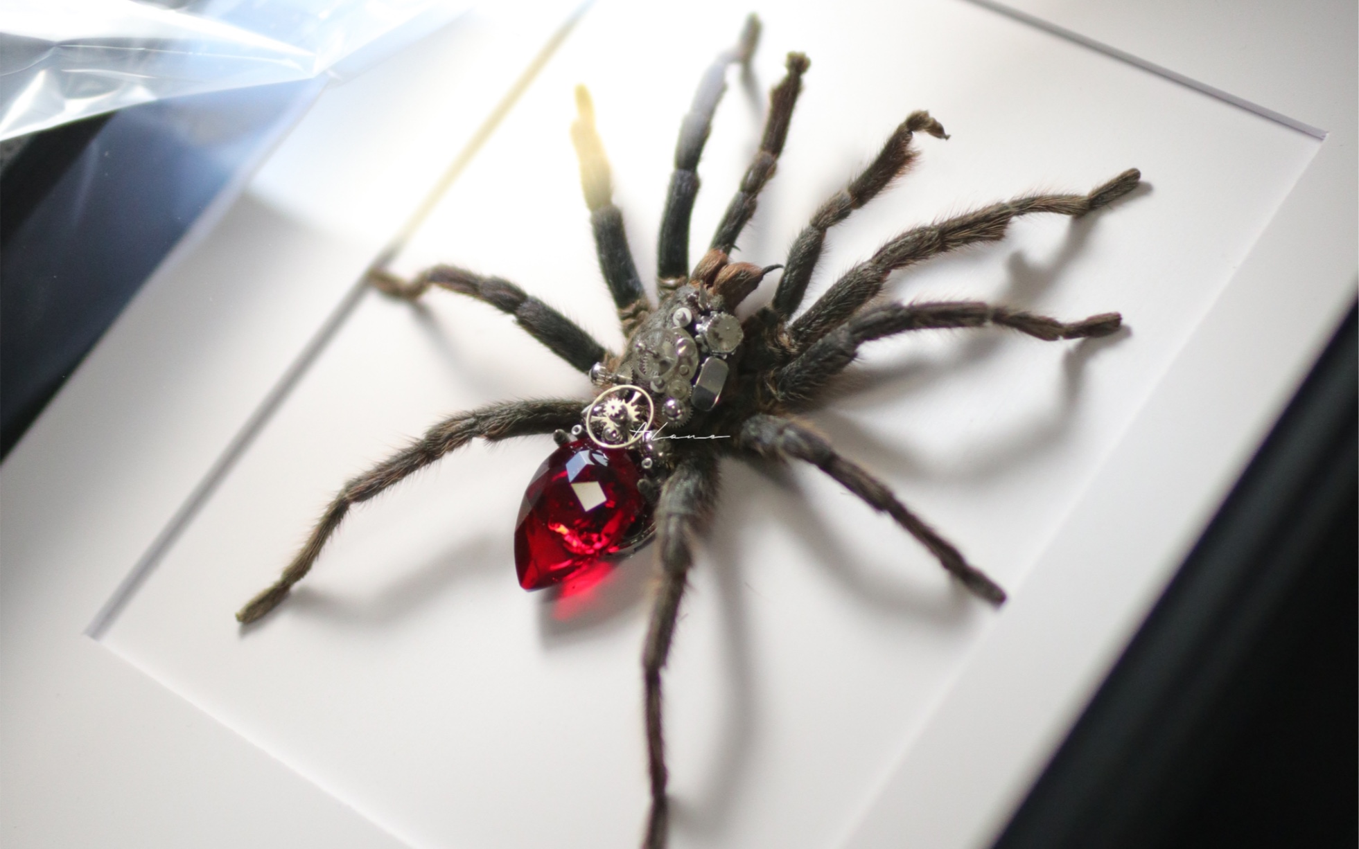 个人原创手作分享 蜘蛛标本融合宝石与机械