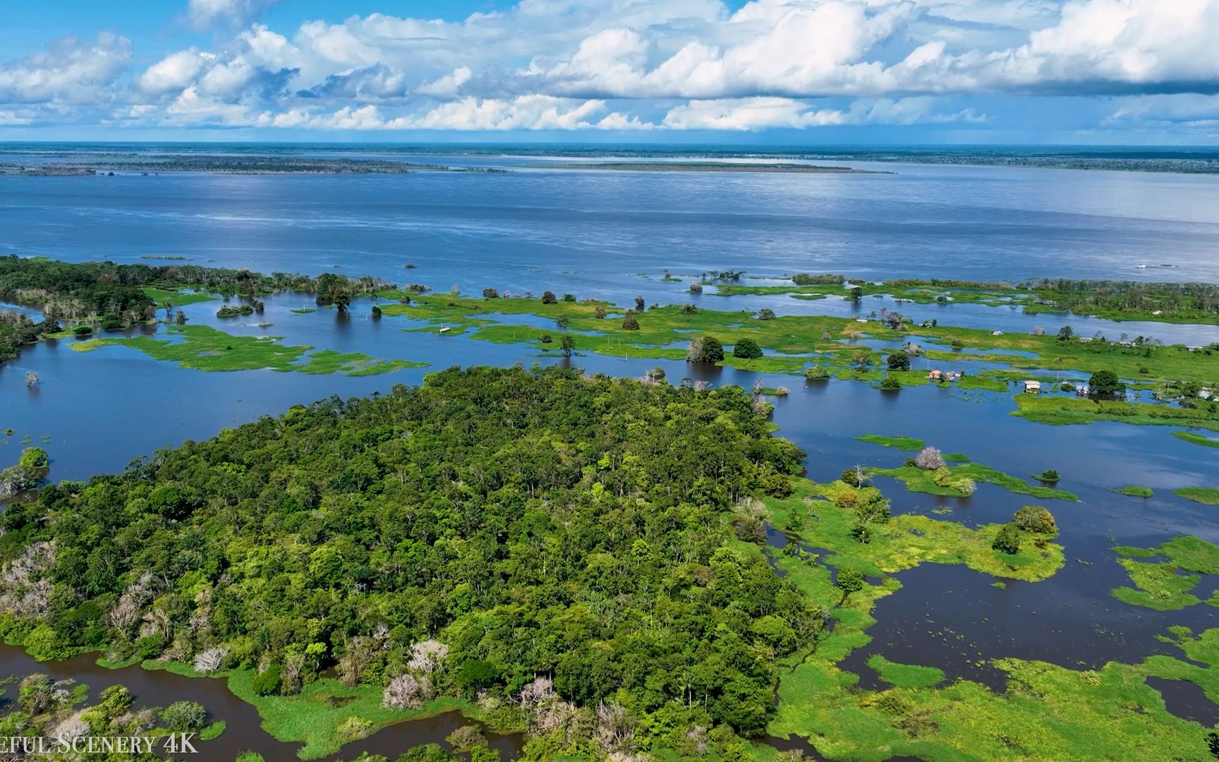 走遍南美:亚马逊雨林野生动物(3)