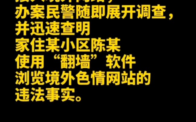 陈某使用“翻墙软件”被处罚哔哩哔哩bilibili