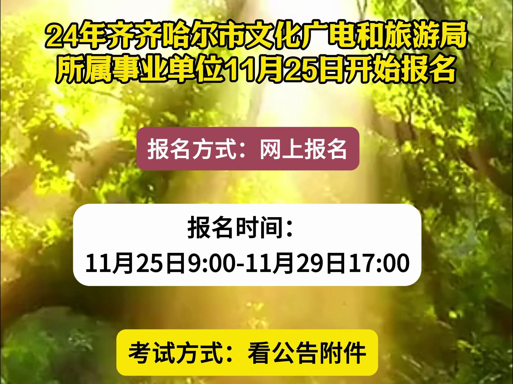 24年齐齐哈尔市文化广电和旅游局所属事业单位11月25日开始报名!哔哩哔哩bilibili