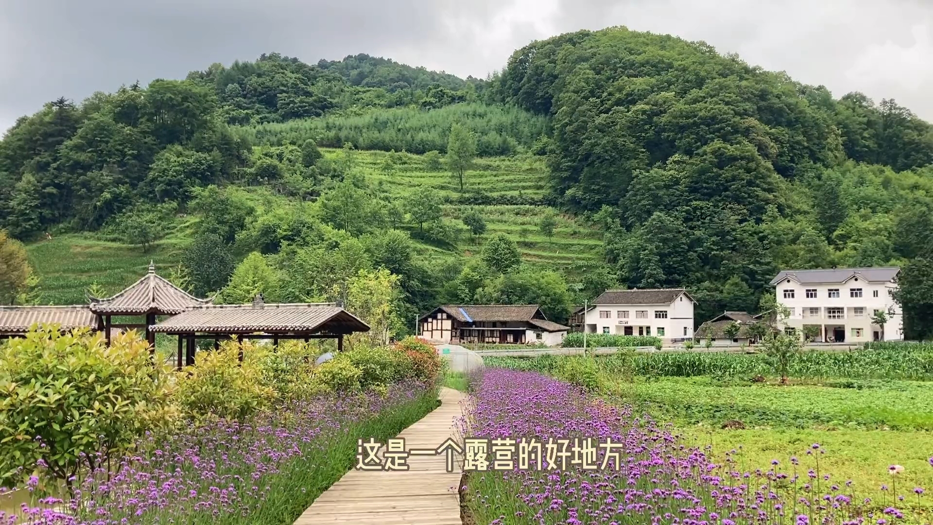 暑假外出避暑放松,镜头记录一切的风景哔哩哔哩bilibili