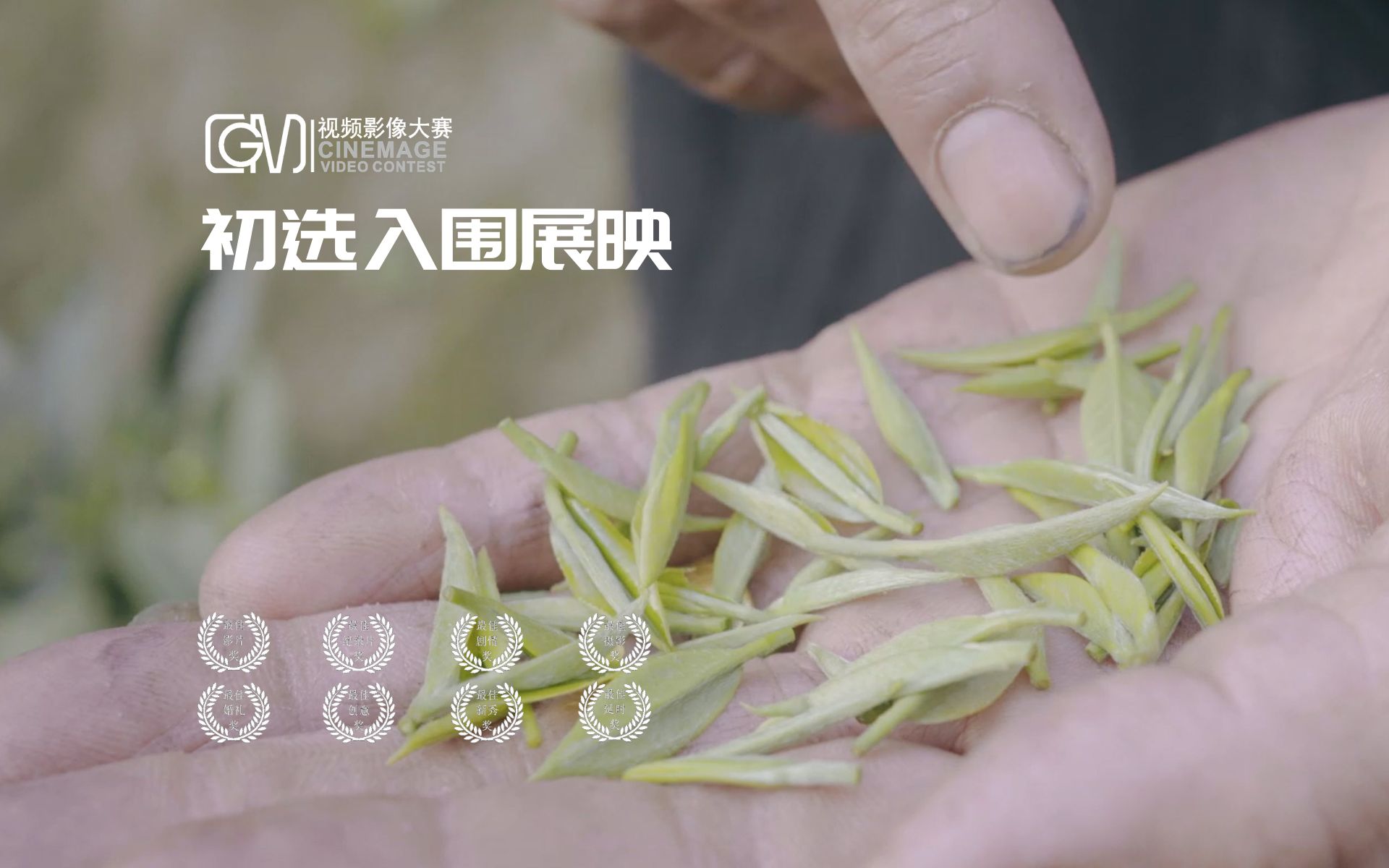 [图]匠人用心守护茶文化《遂川茶文化》| 第二届CMG视频影像大赛