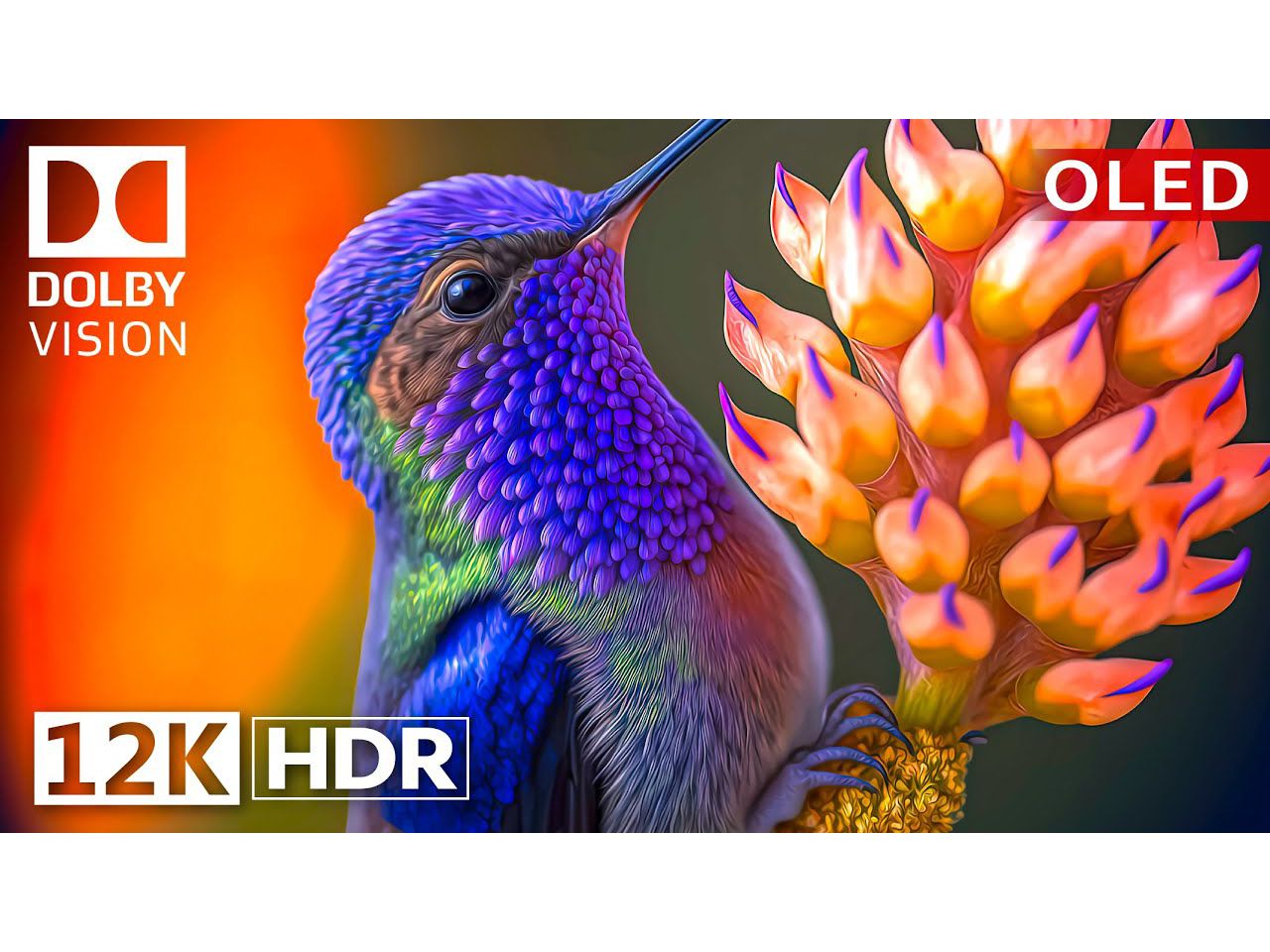 [图]杜比视界 12K HDR 120fps OLED 自然与野生动物 - 史诗般的视觉效果