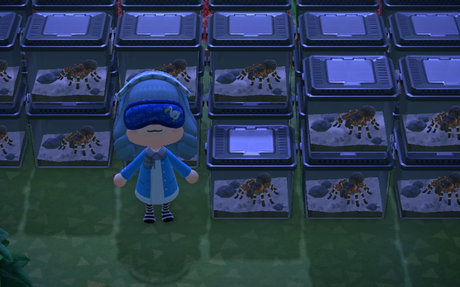 【kenji岛岛主】教你如何在人造狼蛛岛抓狼蛛 一次20w抓不够