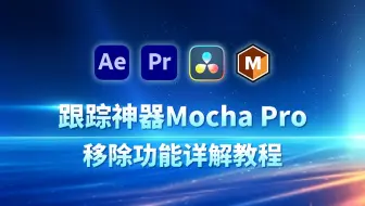 Mocha Pro 移除功能详解，快速去除视频画面中的部分内容