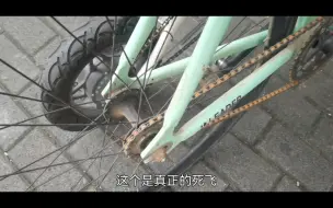 你敢尝试真正的死飞车吗？骑上就停不下来，固齿就是这样刺激！