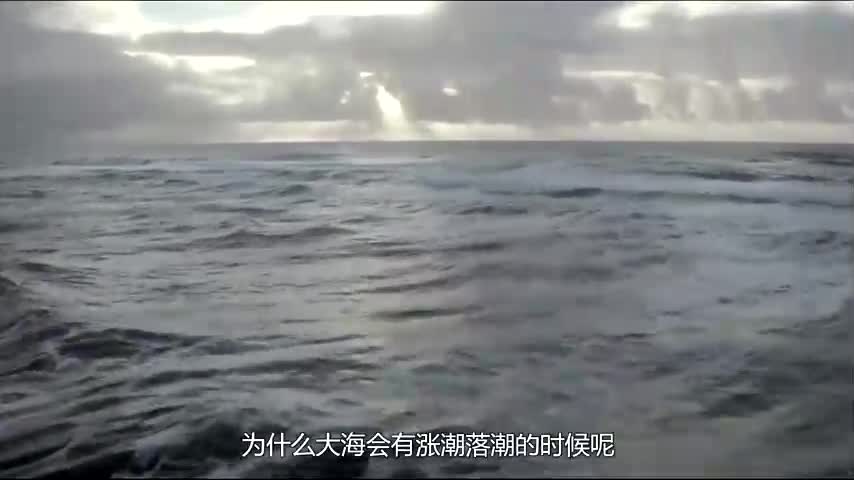 大海为何会涨潮退潮?退潮后的海水,又都去了哪里?哔哩哔哩bilibili