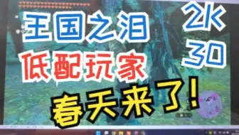 【王国之泪】低配置党的春天来了完美2K30帧