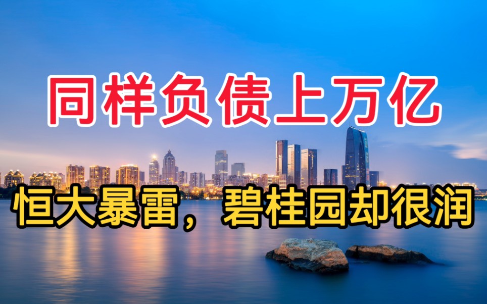 同样上万亿负债,为什么恒大爆雷,碧桂园却很滋润?哔哩哔哩bilibili