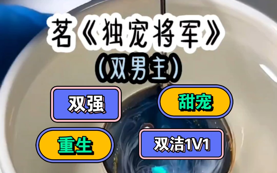 [图]《独宠将军》又疯又撩光风霁月美人将军受VS深情直球重生报恩皇子攻