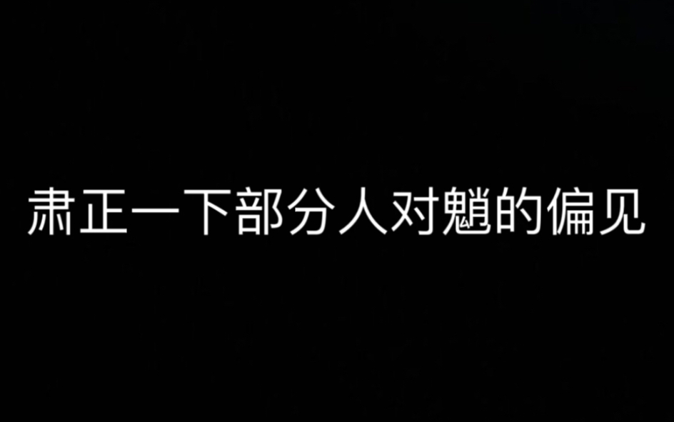 借事件浅谈一下魈的风评 并且肃正部分人对魈的偏见网络游戏热门视频