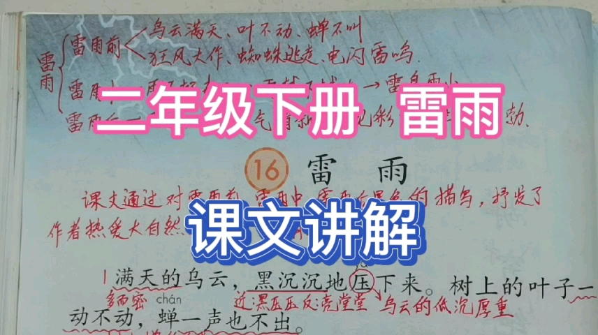 二年级下册,雷雨,用热爱生活的眼睛发现大自然之美哔哩哔哩bilibili