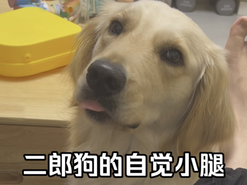 二郎腿真是二郎神发明的!