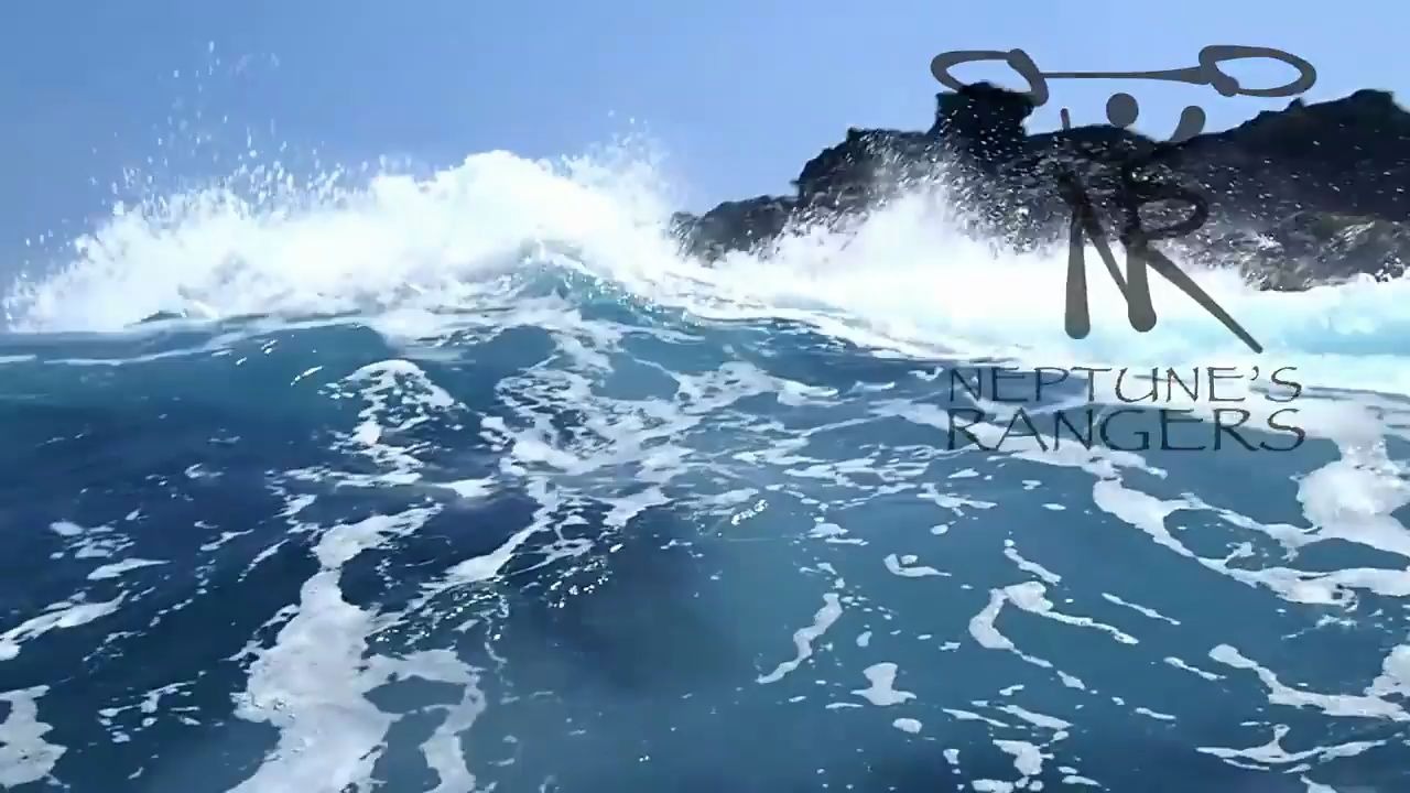 oceanwhitewaterkayaking