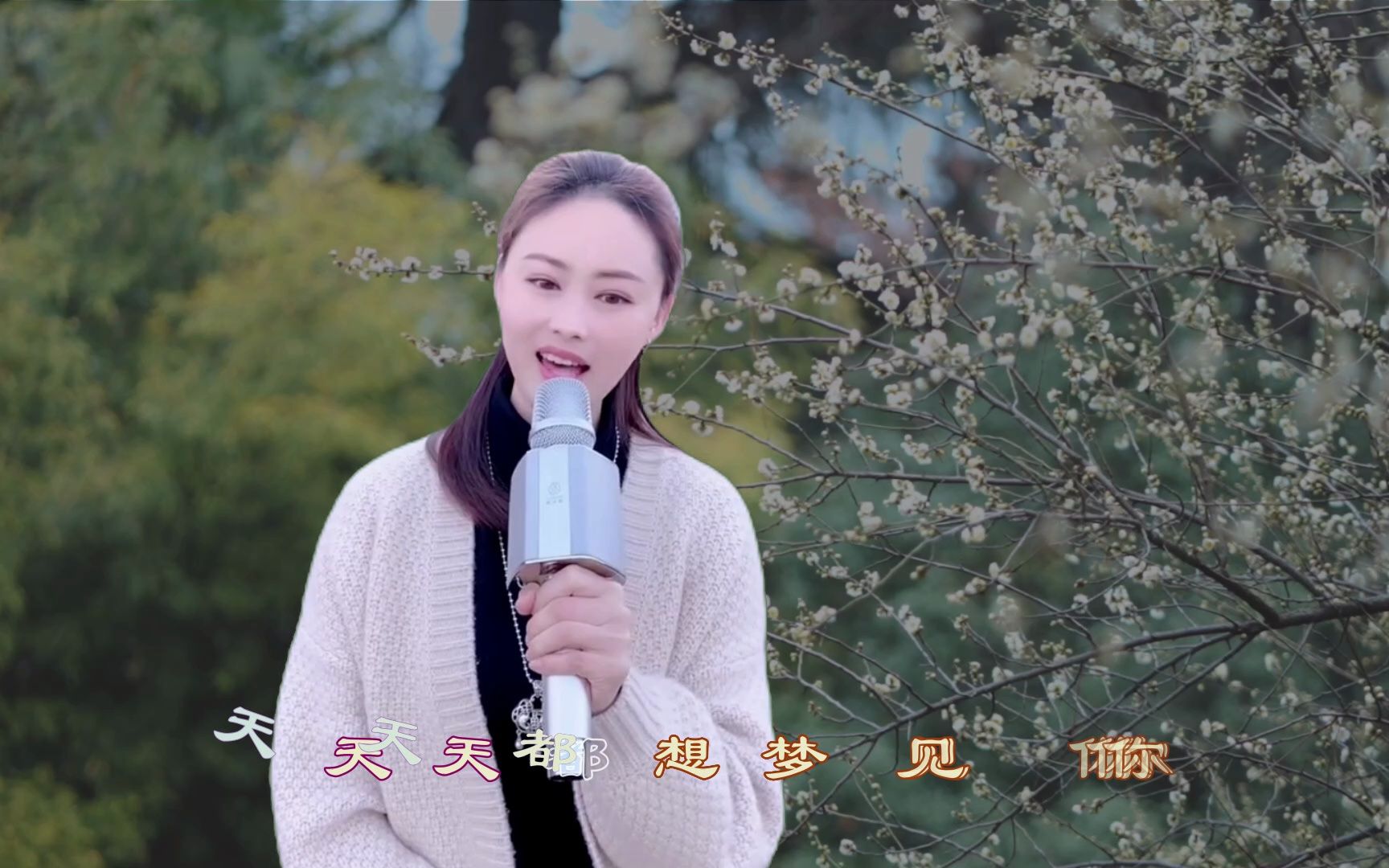 天天都想梦见你 - 胡蜜丹