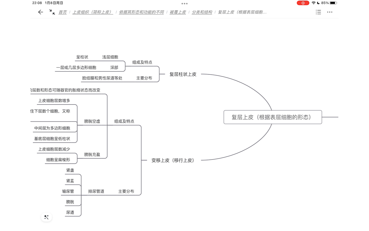 一分钟学会复层上皮哔哩哔哩bilibili