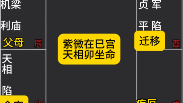 紫微斗数紫微七杀巳天相卯宫坐命哔哩哔哩bilibili